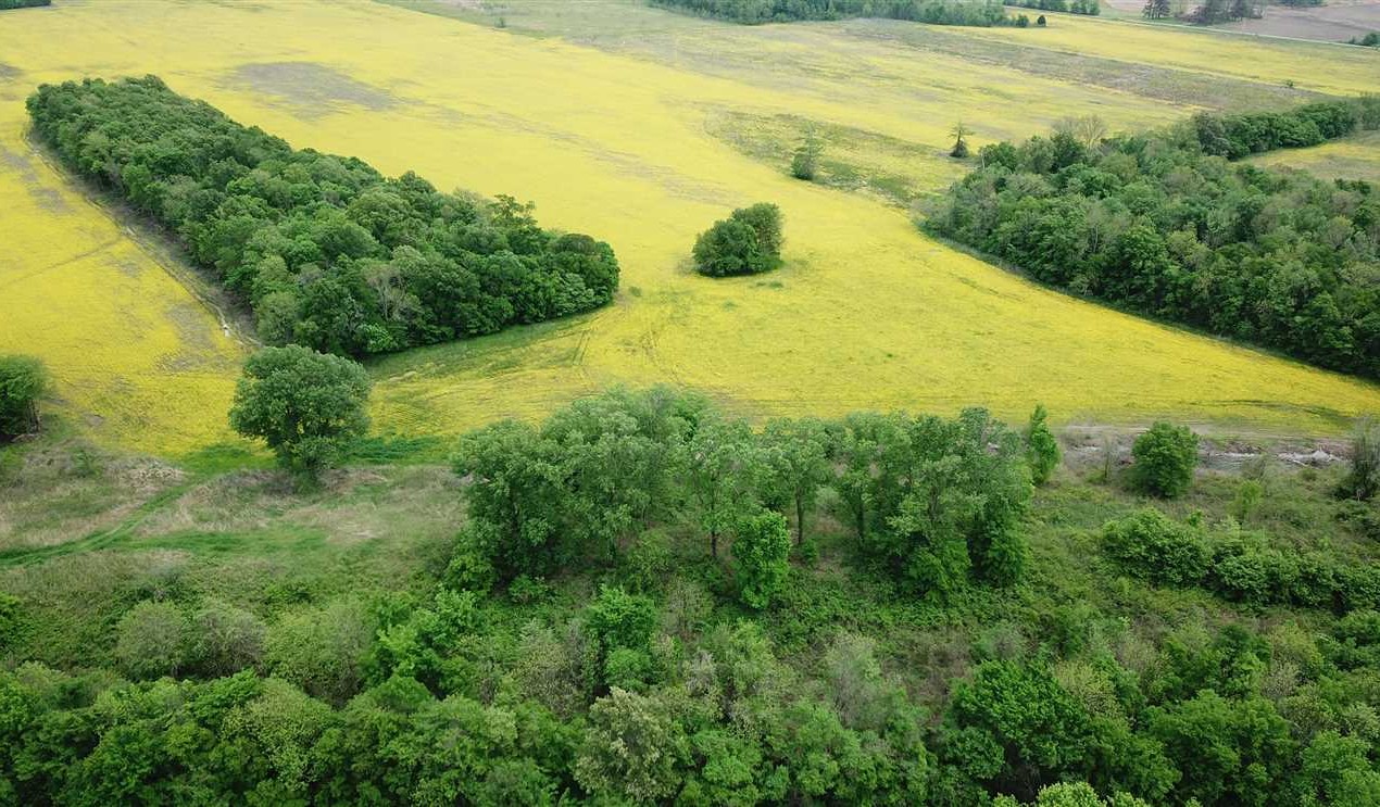 78 Acres of Recreational land for sale in Crawfordsville, crittenden County, Arkansas