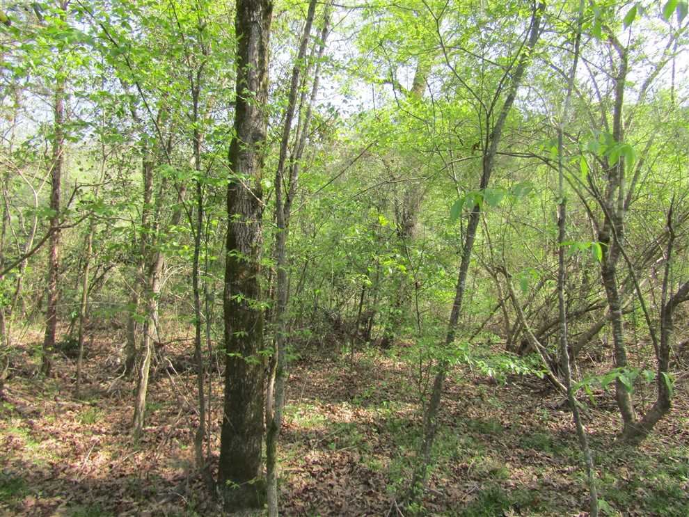 Houses and land for sale in Oklahoma