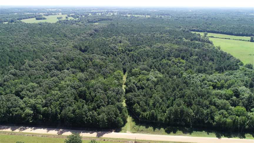 Very unique property with great strand of timber! Real estate listing