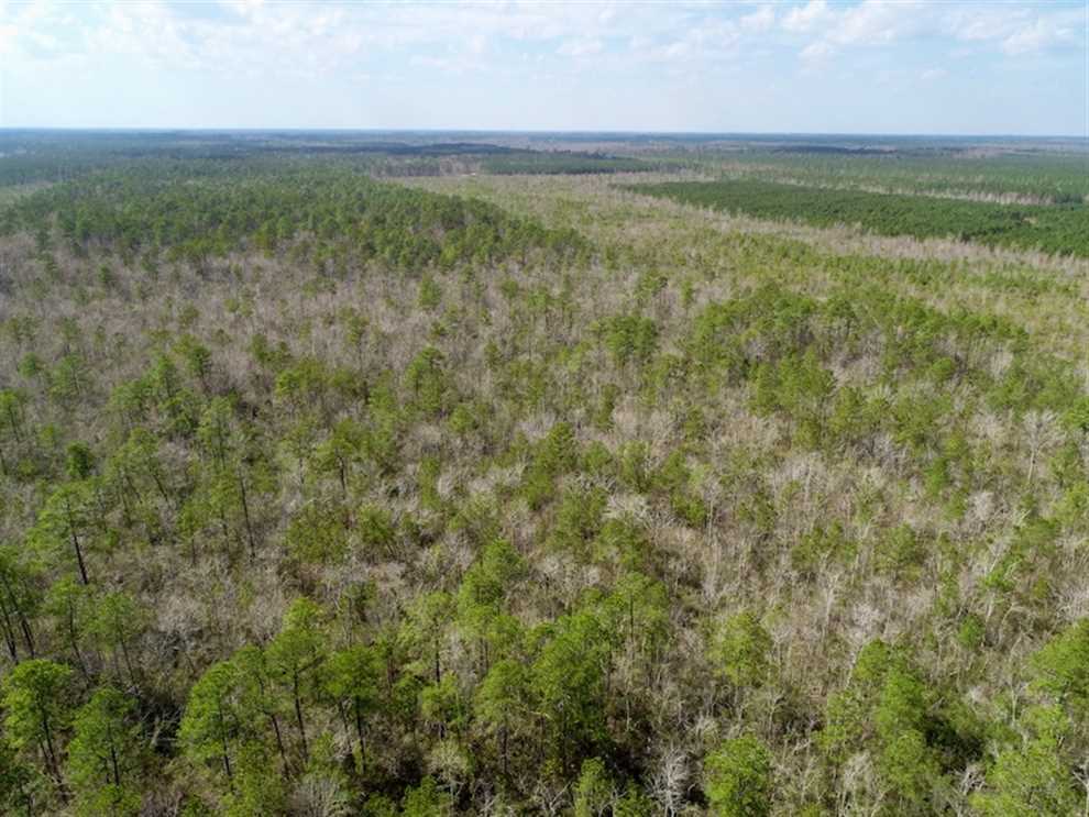 92.6 Acres of Recreational land for sale in Williamston, martin County, North Carolina