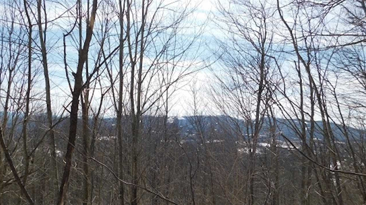 Land for sale to buy in 24292 zip code