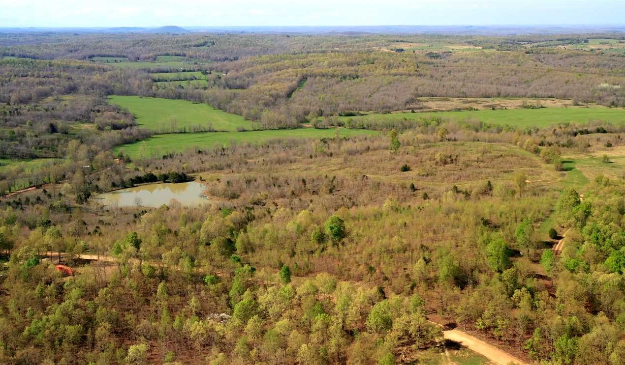 140 Acres of Land for sale in fulton County, Arkansas
