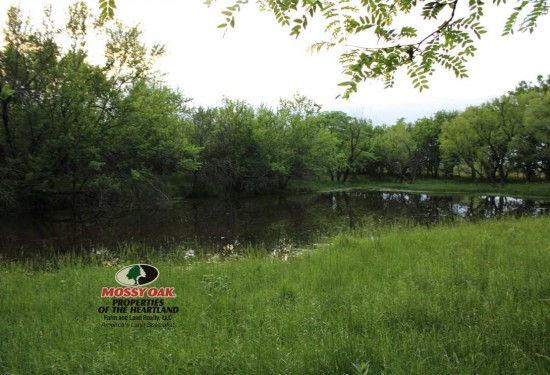150 Acres of Land for Sale in woodson County Kansas