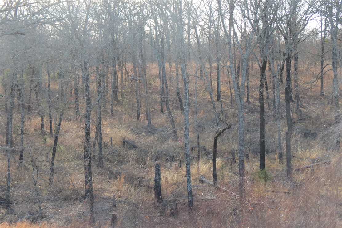 30 Acres of Recreational land for sale in Crystal, atoka County, Oklahoma