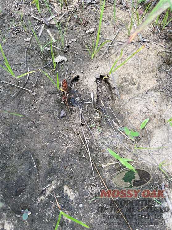 property for sale on The Land Market