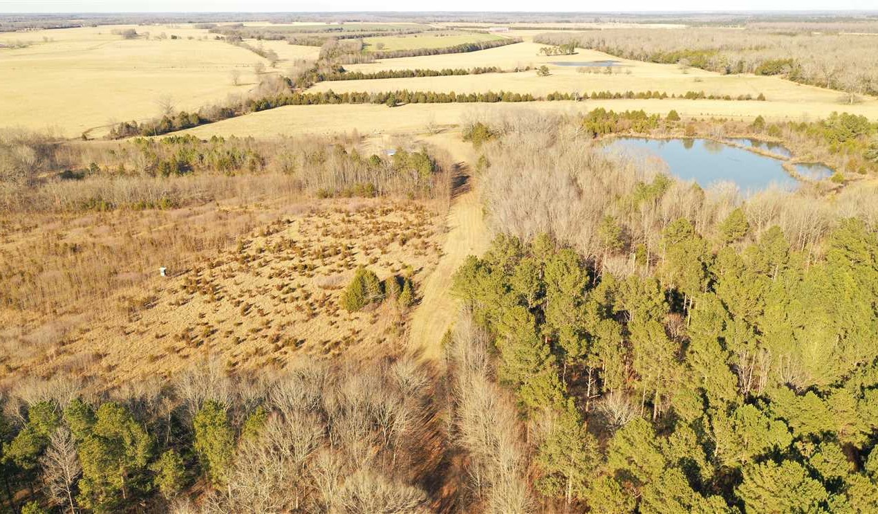 Residential and   property for sale on The Land Market