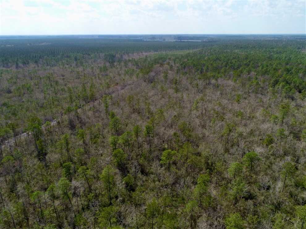 Land for sale to buy in 27892 zip code