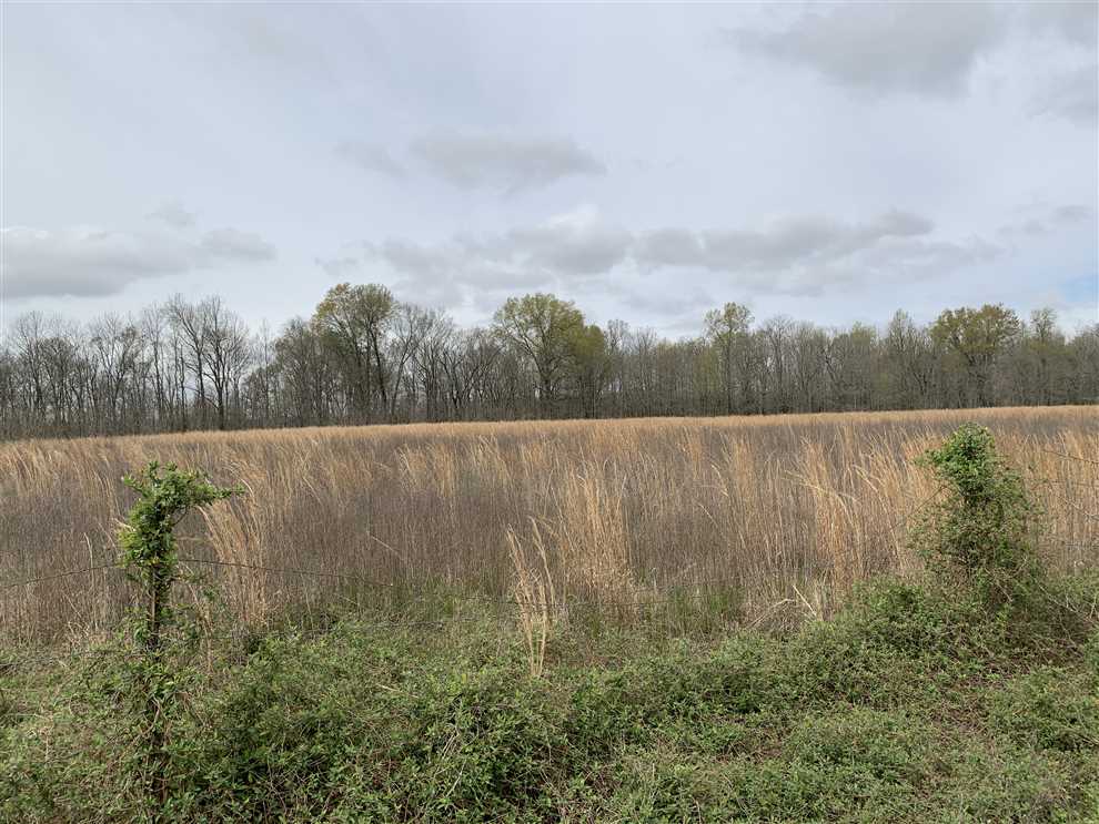 170 West Side of Bayou Deview Real estate listing