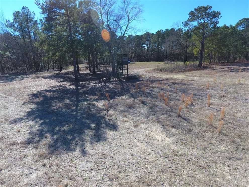 Property for sale at Off Mill Branch Rd.