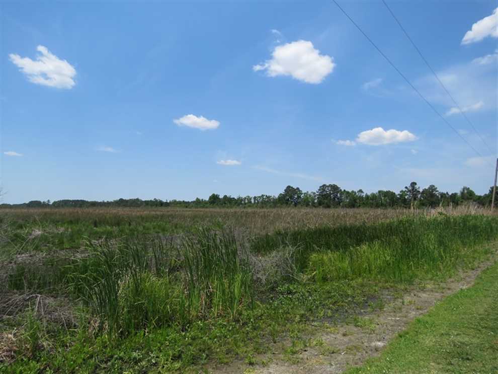Land for sale to buy in 27817 zip code