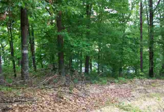 3 Acres of Land for Sale in boone County Arkansas