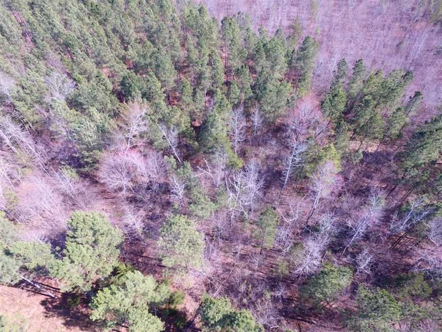 45.55 Acres of Recreational land for sale in Clarksville, mecklenburg County, Virginia