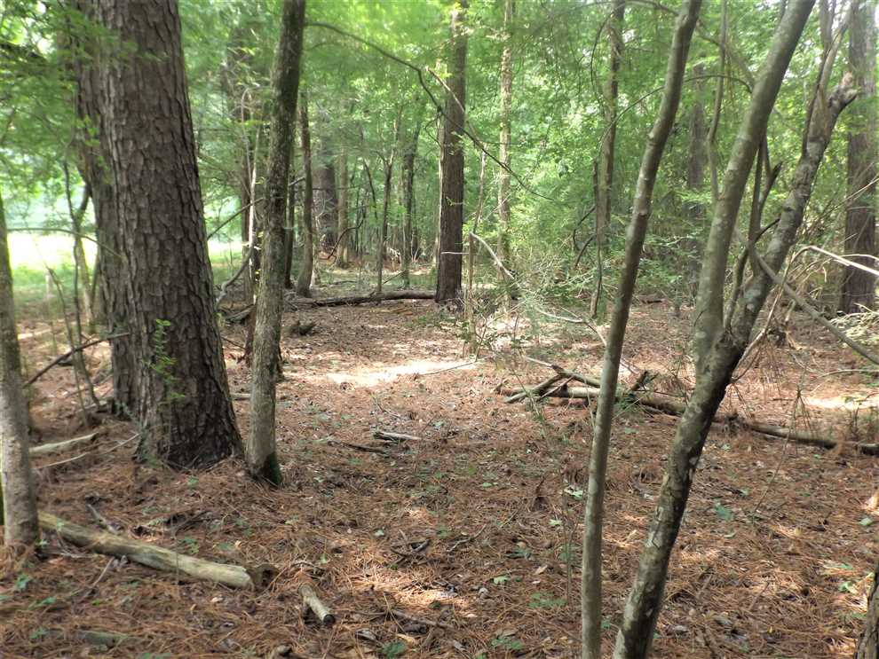 property for sale on The Land Market