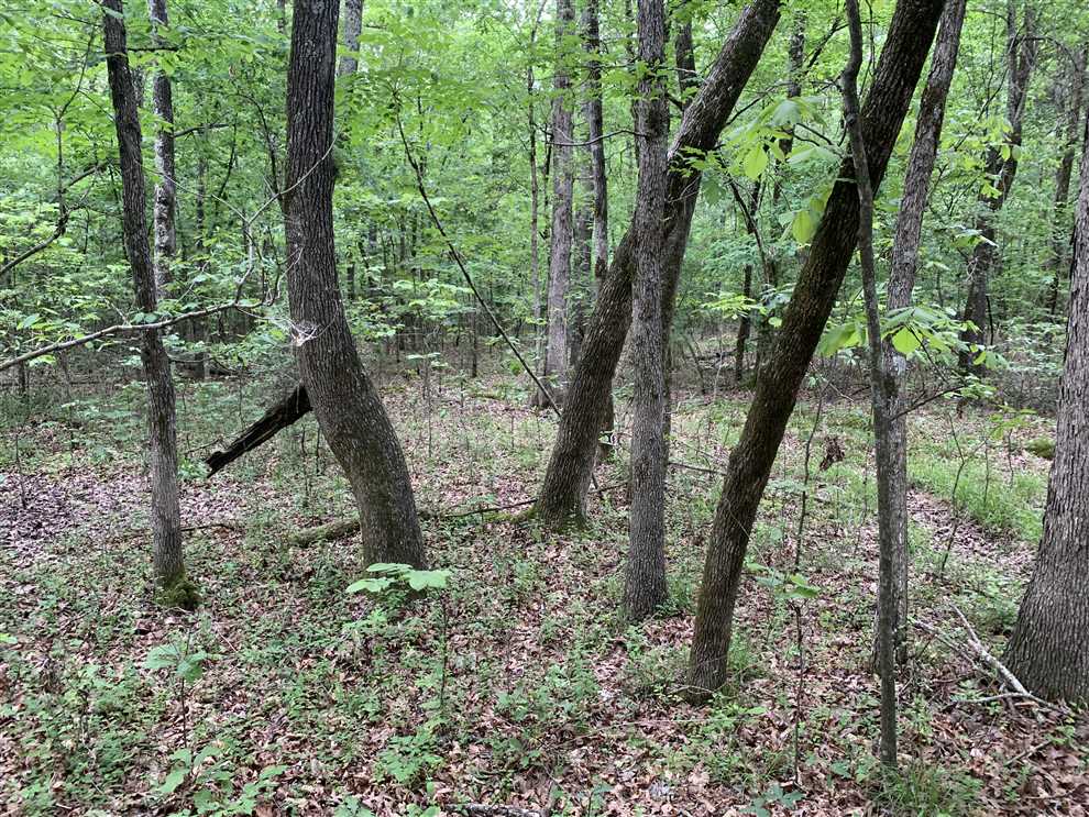 Property for sale at