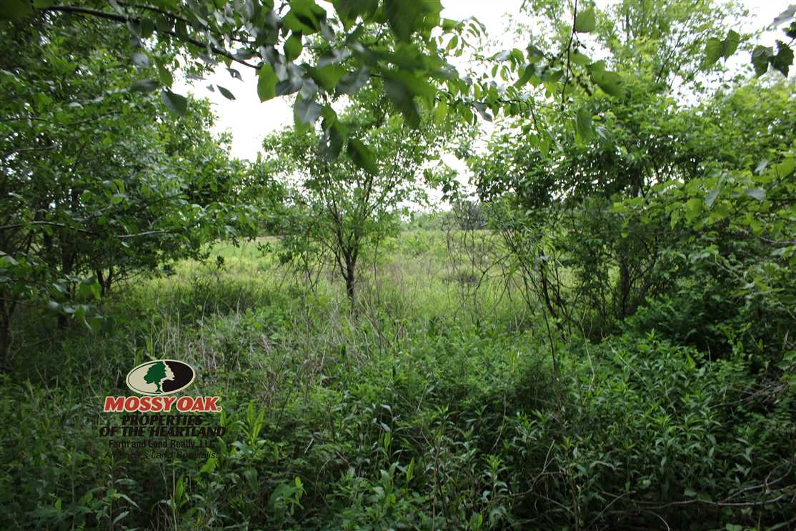 Farmland real estate available to buy