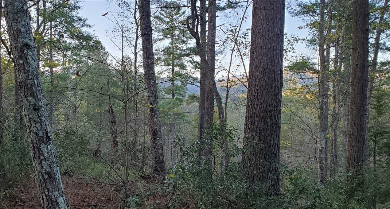 10+/- Acres in Collettsville, Caldwell County Real estate listing