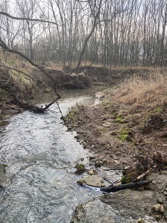 293 +/- Heavily Wooded Hunting Land in Southeast Kansas Real estate listing