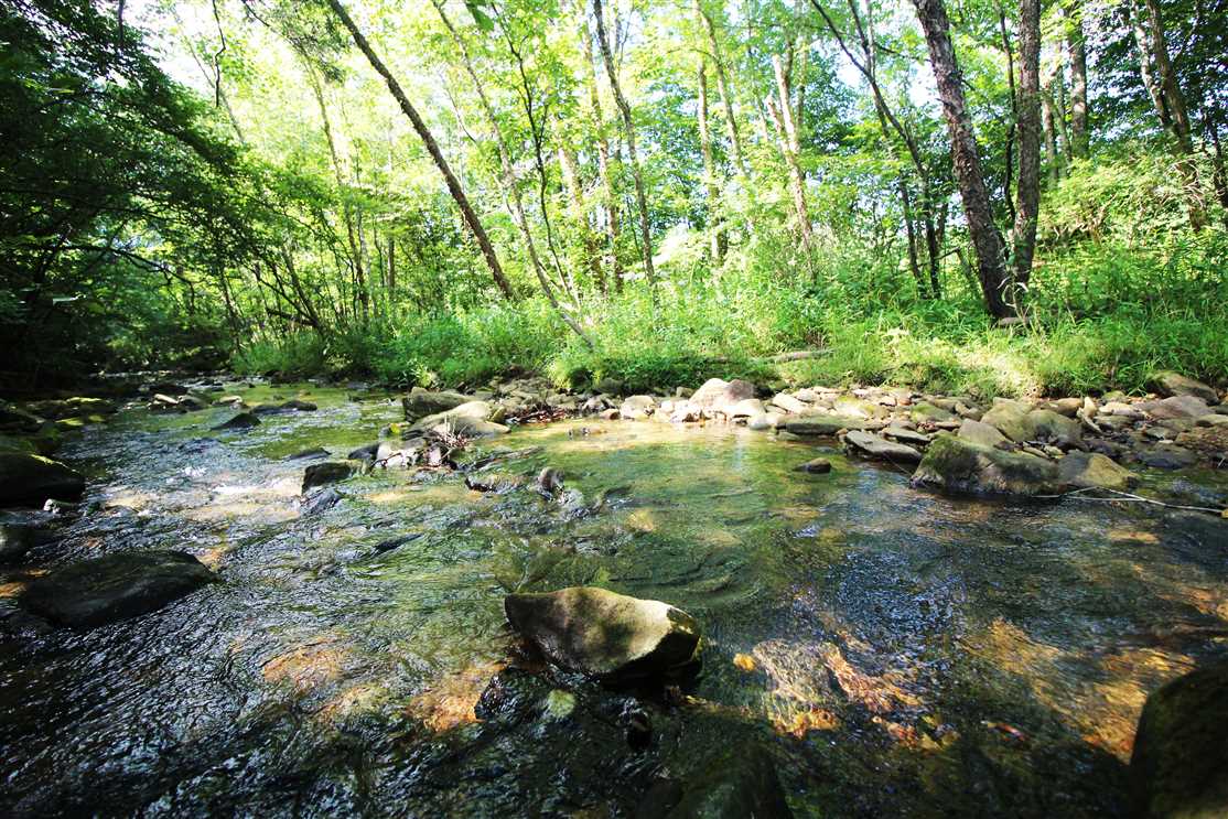 Residential and   property for sale on The Land Market