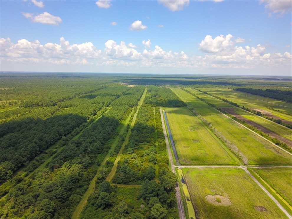 Land for sale at Off Piney Woods Road