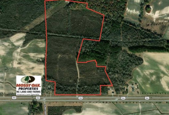 93.87 Acres of Land for Sale in pitt County North Carolina