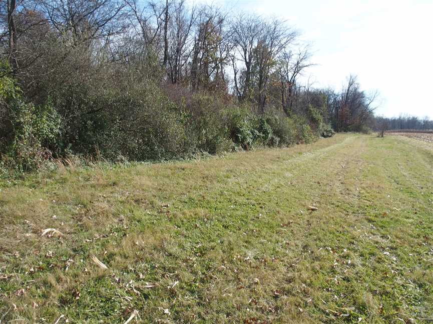 hamilton County, Indiana property for sale