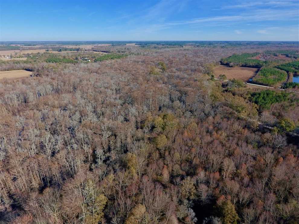 Houses and land for sale in North Carolina