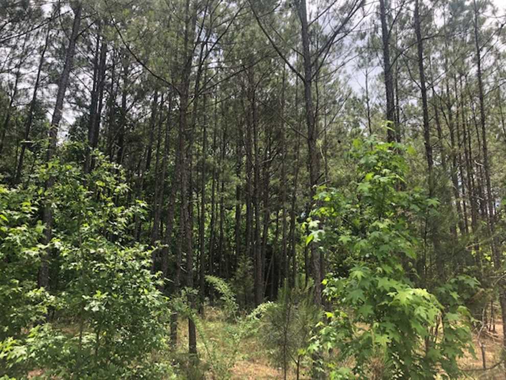 8.24 Acres of Land for sale in macon County, Georgia