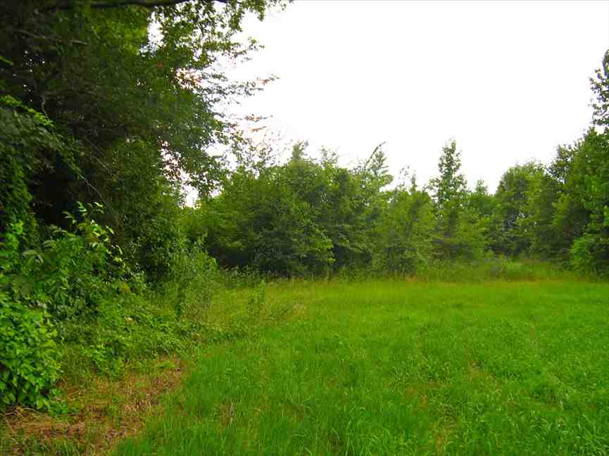 west carroll County, Louisiana property for sale