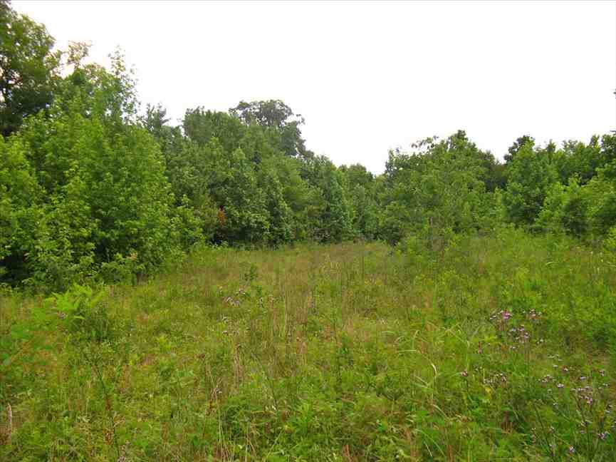50 Acres of Land for sale in west carroll County, Louisiana