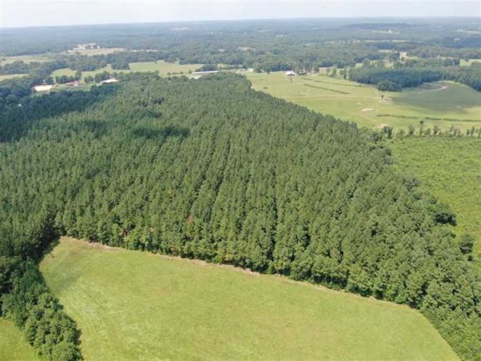 Timberland real estate available to buy