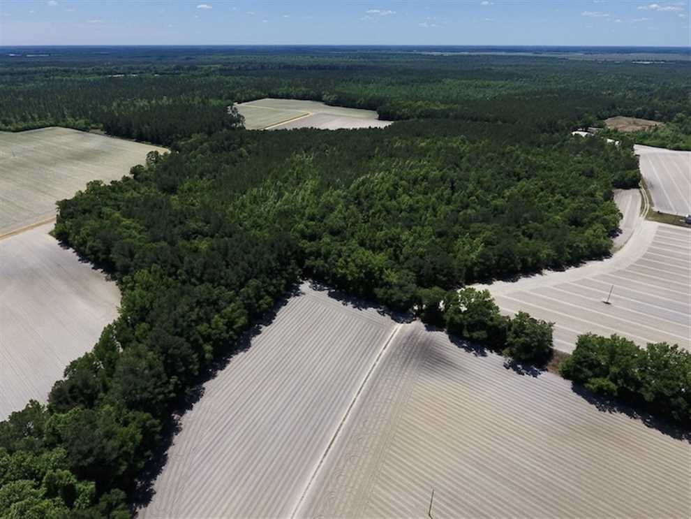 Timberland real estate available to buy