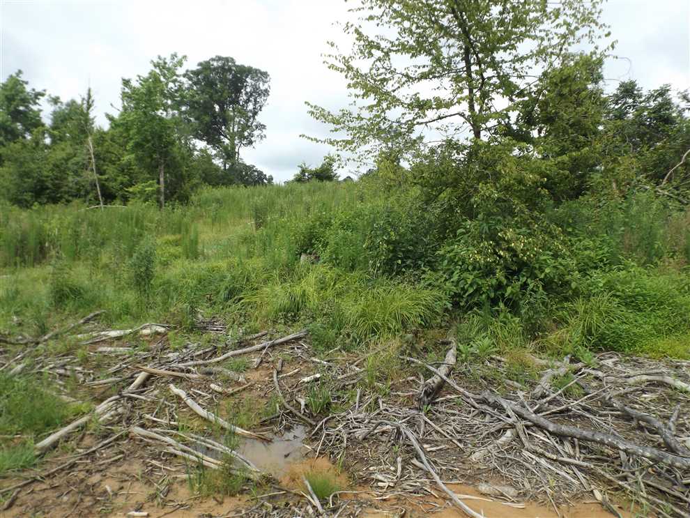 Land for sale to buy in 71646 zip code