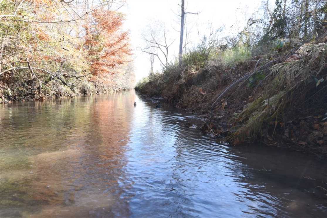 93.87 Acres of Land for sale in pitt County, North Carolina