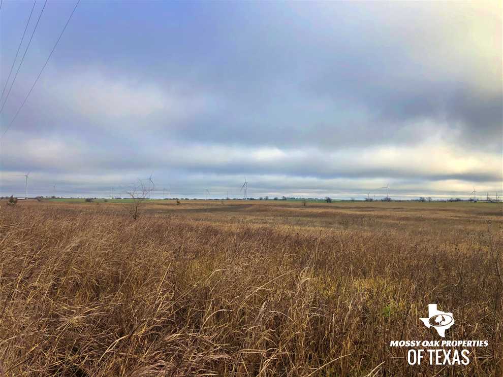 Property for sale at TBD COUNTY ROAD 337