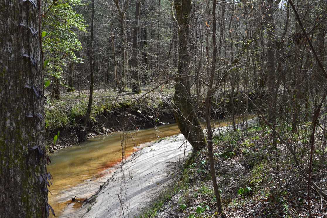 723 Acres of Recreational land for sale in Vaiden, montgomery County, Mississippi