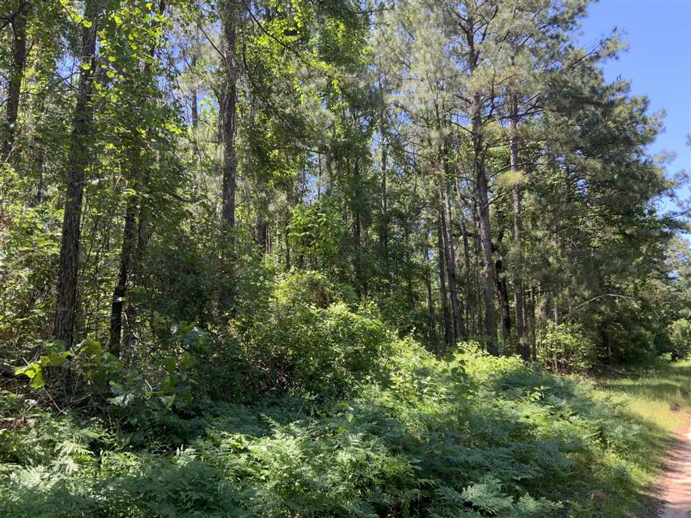 Houses and land for sale in Louisiana