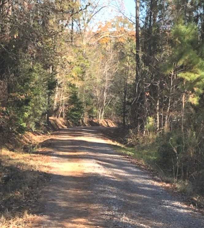 sumter County, Alabama property for sale