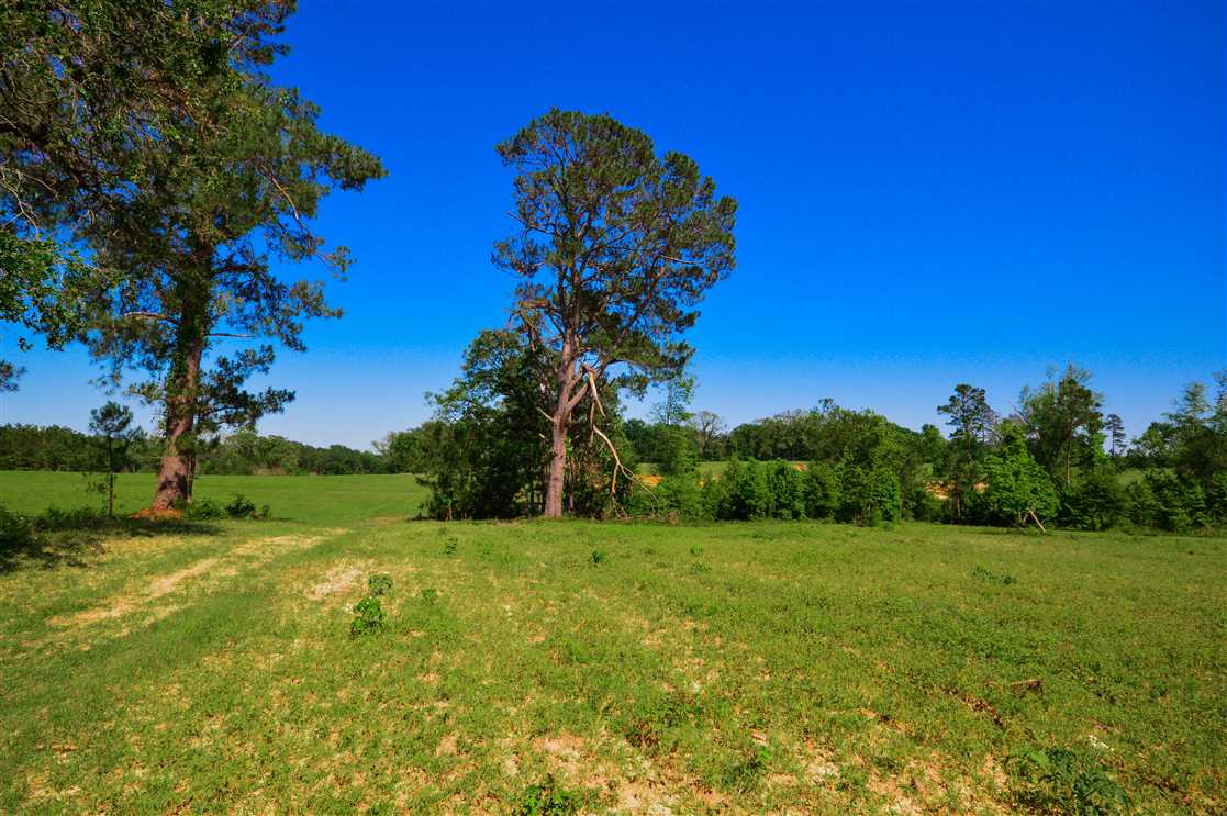 Property for sale at 5578 FM 1638