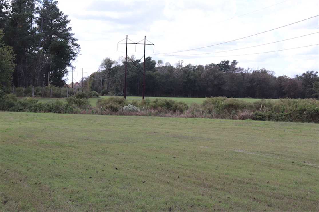 67.95 Acres of Residential land for sale in Fairmont, robeson County, North Carolina