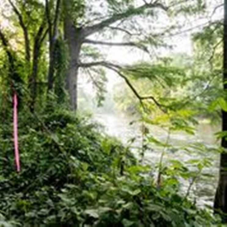 Mt. Fork RIVER FRONT Recreational Acres With Development Investment Potential McCurtain County, OK 30 AC Real estate listing