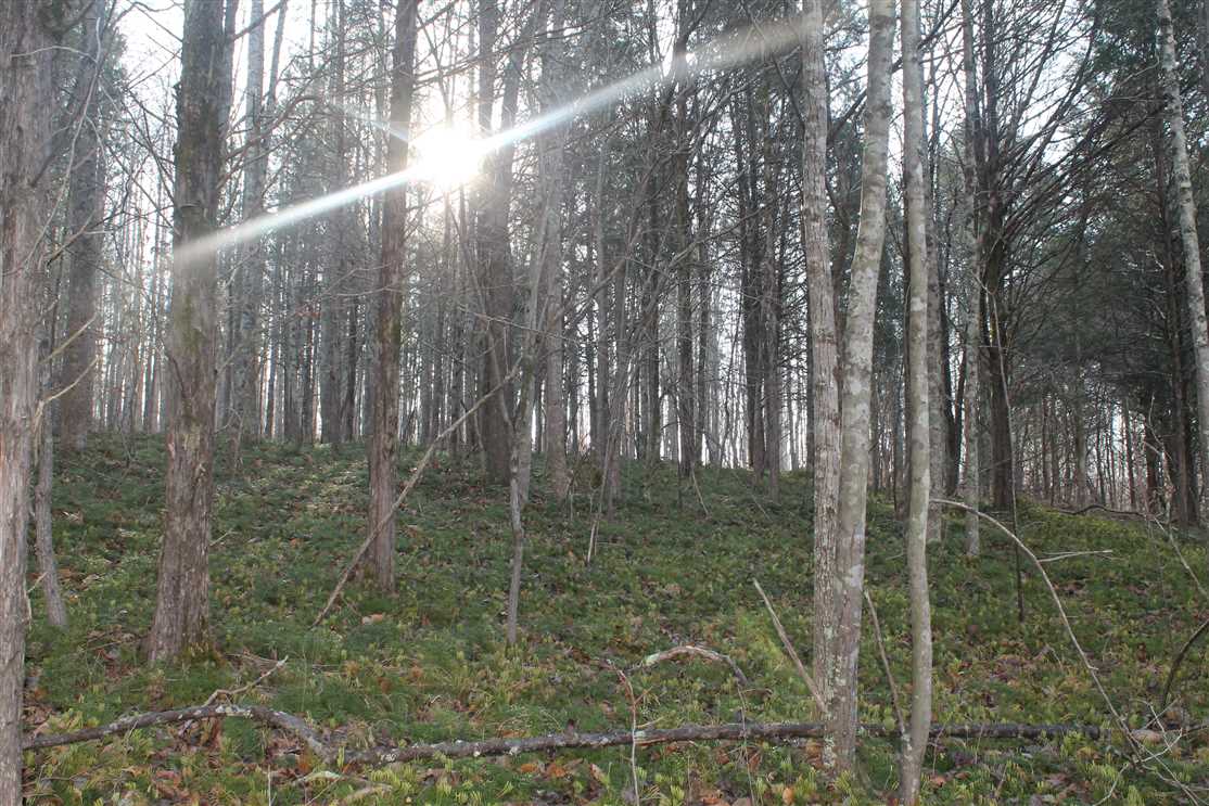 Land for sale to buy in 37083 zip code