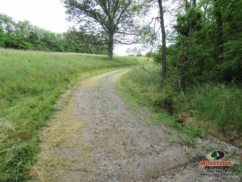 Farmland real estate available to buy