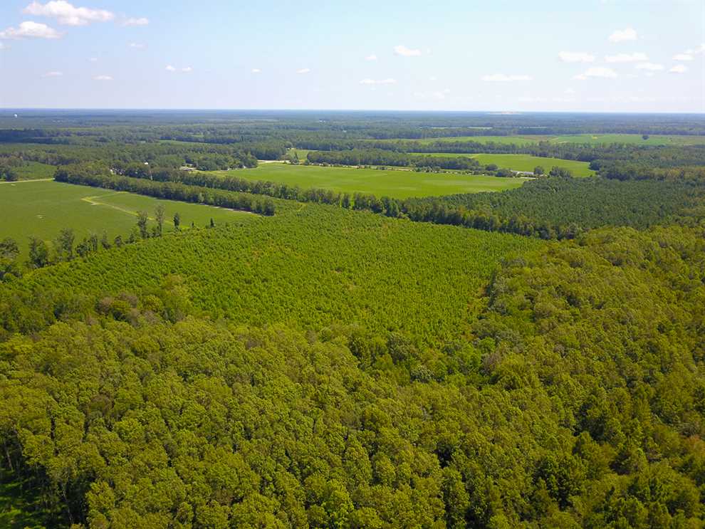 Recreational and   property for sale on The Land Market