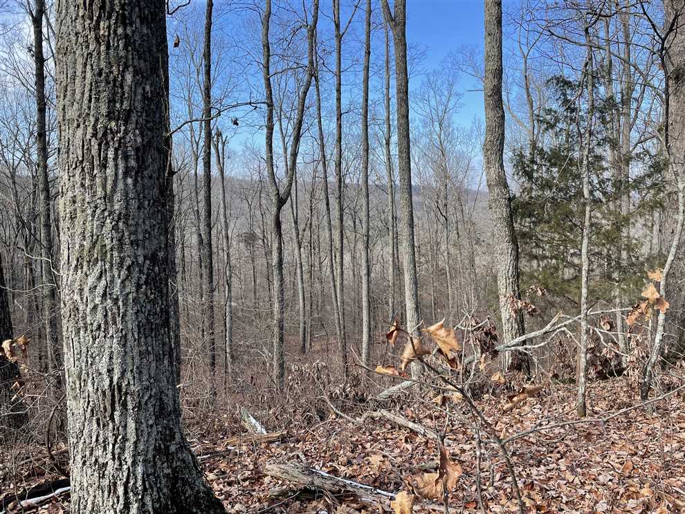 7 acre Residential homesite in Lawrence County, AL Real estate listing