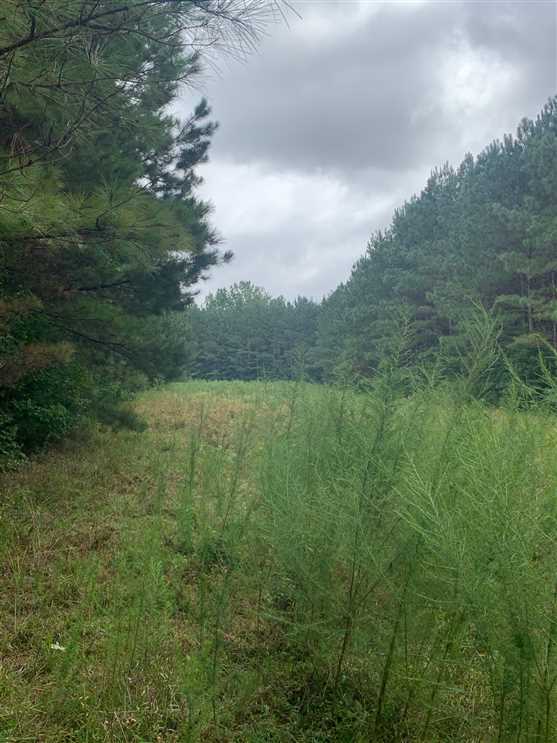 itawamba County, Mississippi property for sale