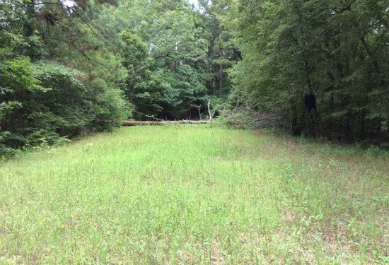 334 Acres of Land for Sale in catahoula County Louisiana