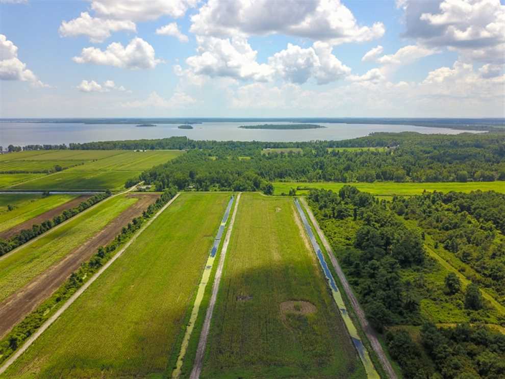 Land for sale to buy in 27826 zip code