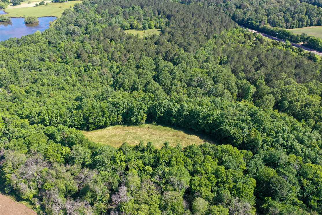 12 Acres of Residential land for sale in Pike Road, montgomery County, Alabama