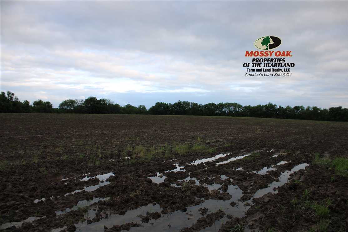 150 +/- Acres Hunting with Income in Woodson County, KS Real estate listing