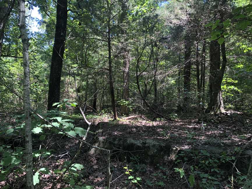 Property for sale at 000 Floral Rd (Hwy 87)